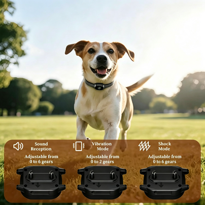 Kavae™ - Anti-Bark Collar