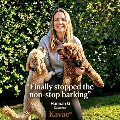 Kavae™ - Anti-Bark Collar