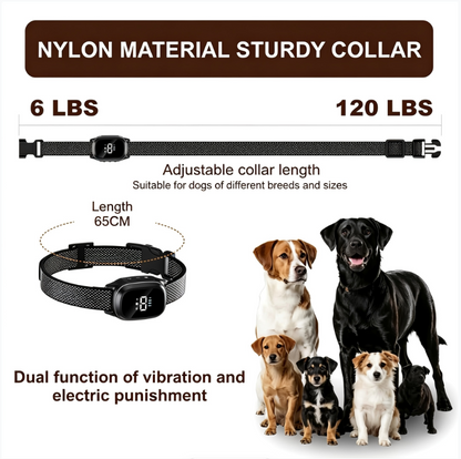 Kavae™ - Anti-Bark Collar